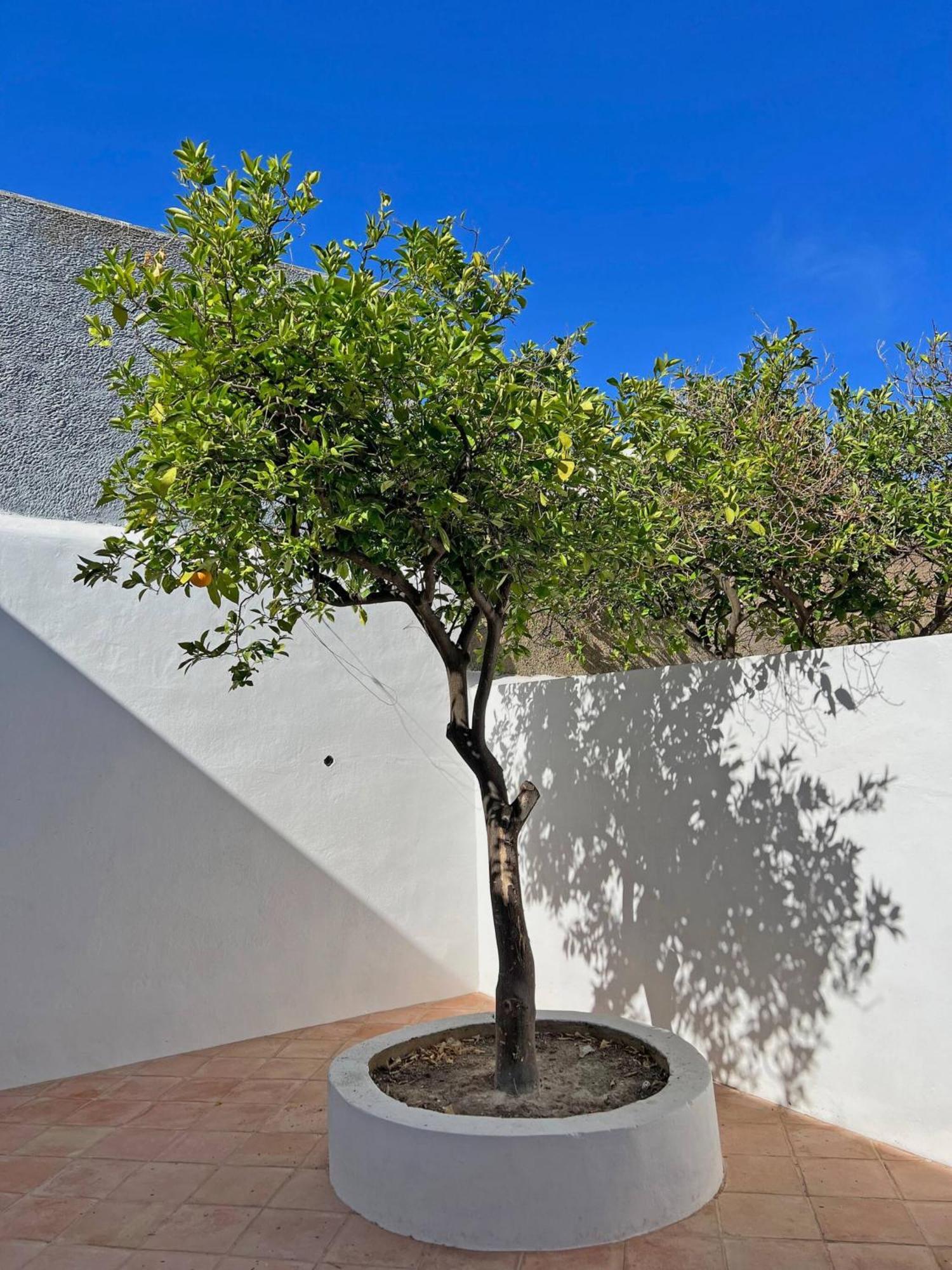 Casa Florence - Fuseta Exterior foto